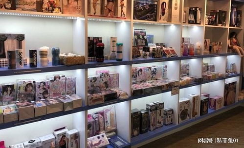 中國(guó)成人用品市場(chǎng)的迅猛發(fā)展與網(wǎng)店開設(shè)指南