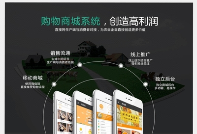 公眾平臺(tái)開(kāi)發(fā)