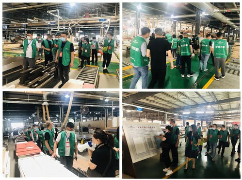 年中盛典，智造未來 619超級工廠購暨財富品鑒會圓滿落幕，揭秘購物商城定制新篇章